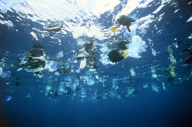 Plastic garbage is swimming on the water surface --- Image by © Gary Bell/Corbis