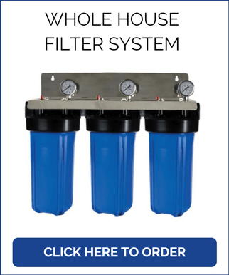 whole house filter system