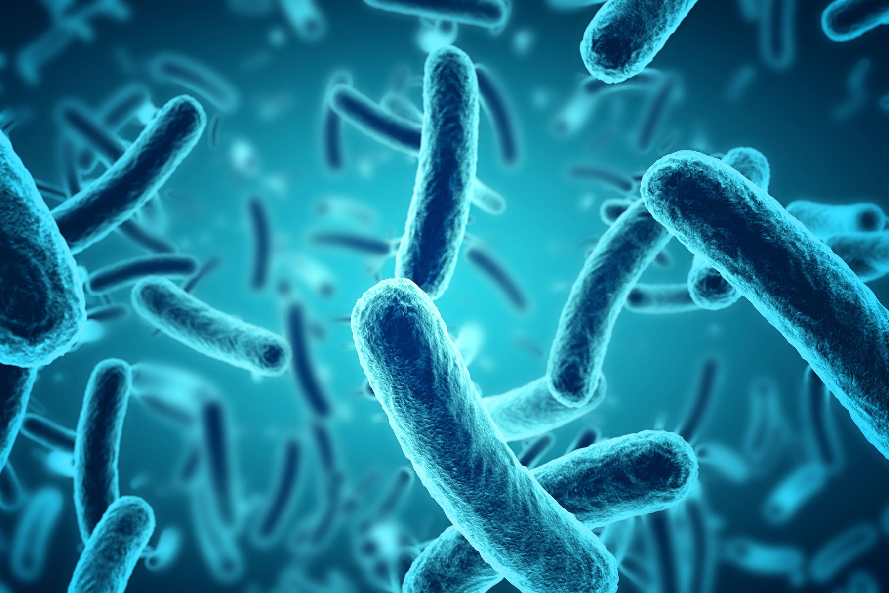 can bacteria grow in water coolers